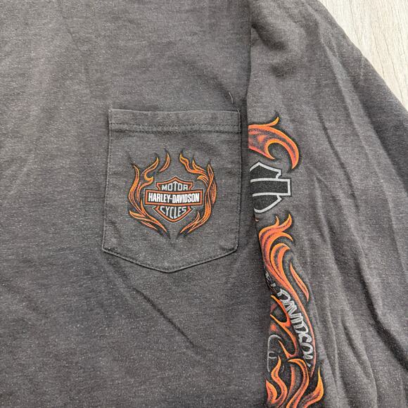 Vintage Harley Davidson Shirt Men's Large Gray Flame Sleeves y2k Biker Grunge - Picture 4 of 9